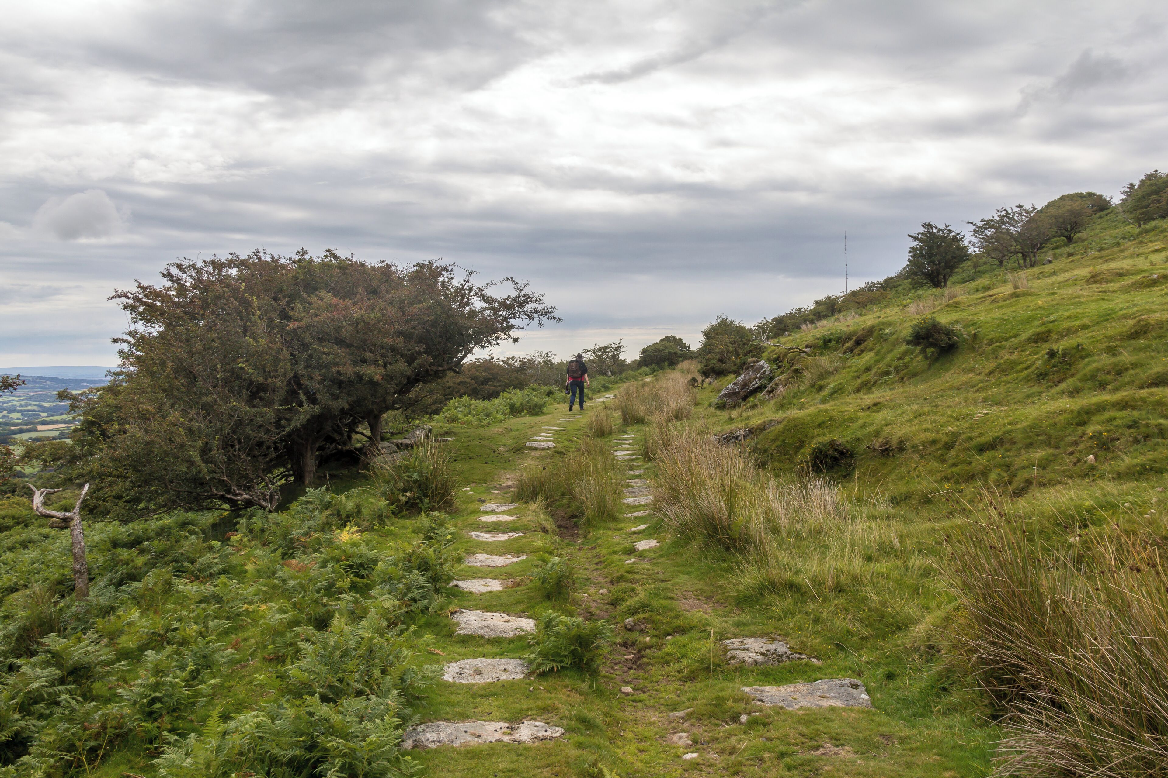 Bodmin Moor, Cornwall. Remains of the Liskeard and Caradon Railway