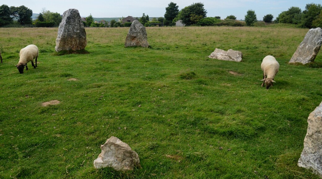 Small stone circle at Duloe, 150m south east of Stonetown Farm Wikidata has entry Q17644283 with data related to this item.