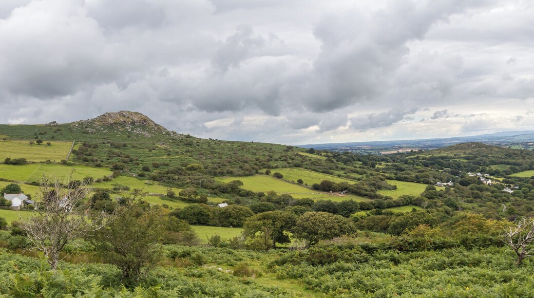Bodmin Moor, Cornwall. View to Northeast in direction of Sharp Tor and Henwood