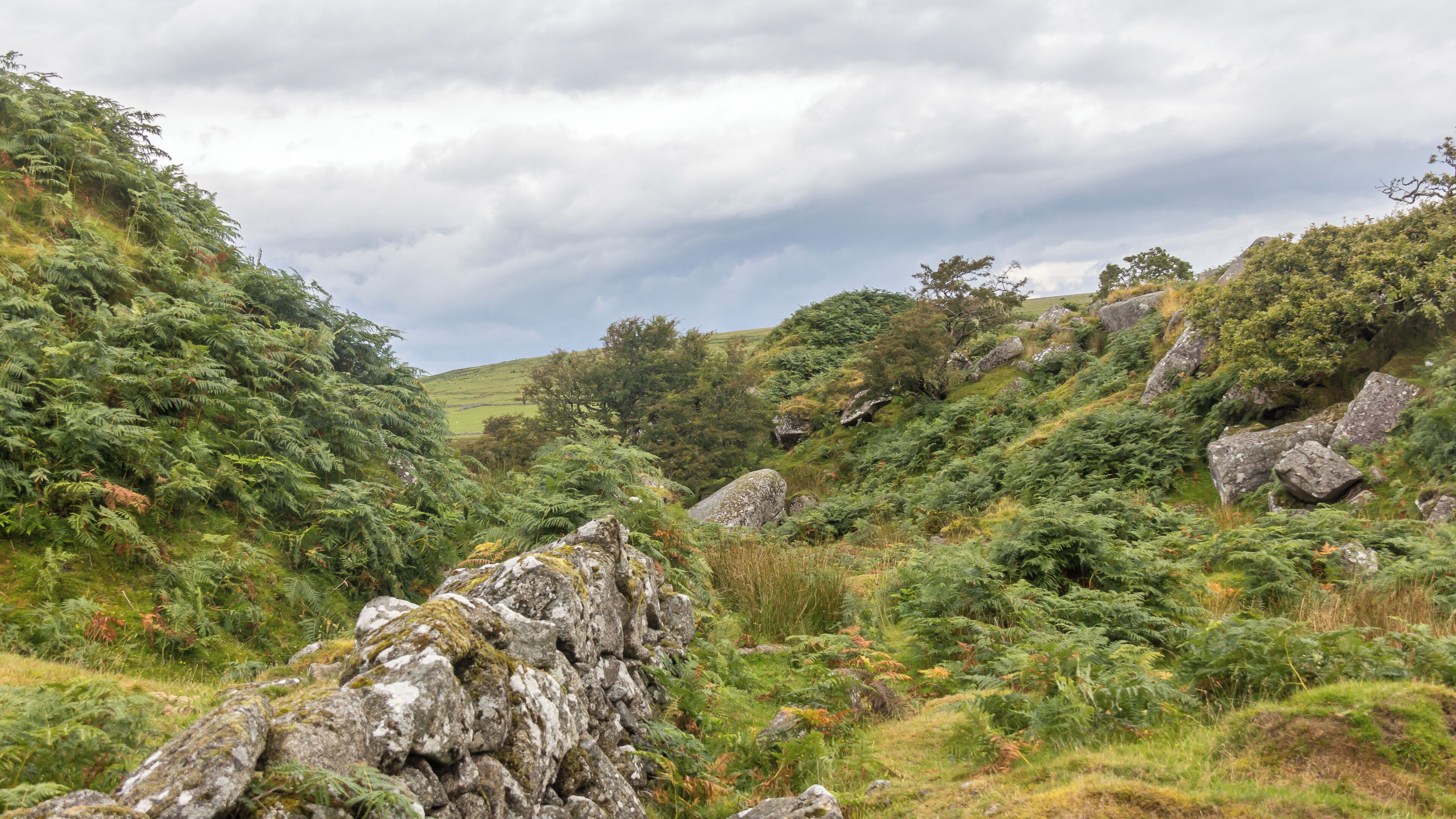 A stone wall in Bodmin Moor, Cornwall.