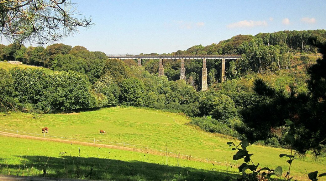 Field and viaduct near Menheniot