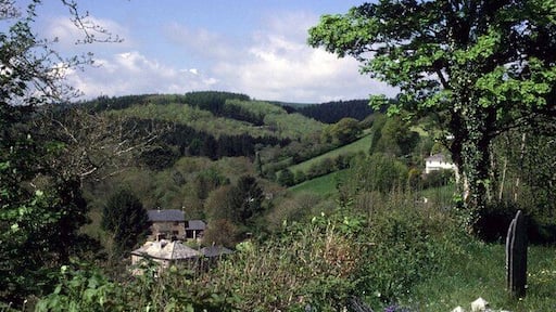 The View from Herodsfoot Church yard The bluebells are out in the church yard at Herodsfoot.