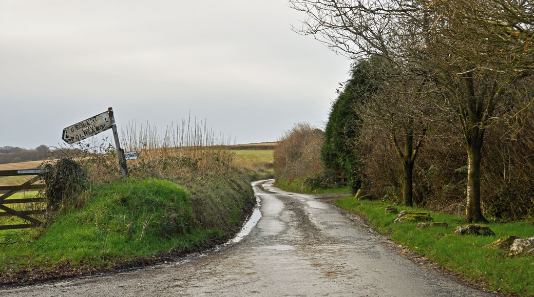 The Herodsfoot road at East Taphouse, Cornwall