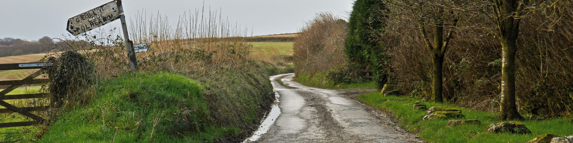 The Herodsfoot road at East Taphouse, Cornwall