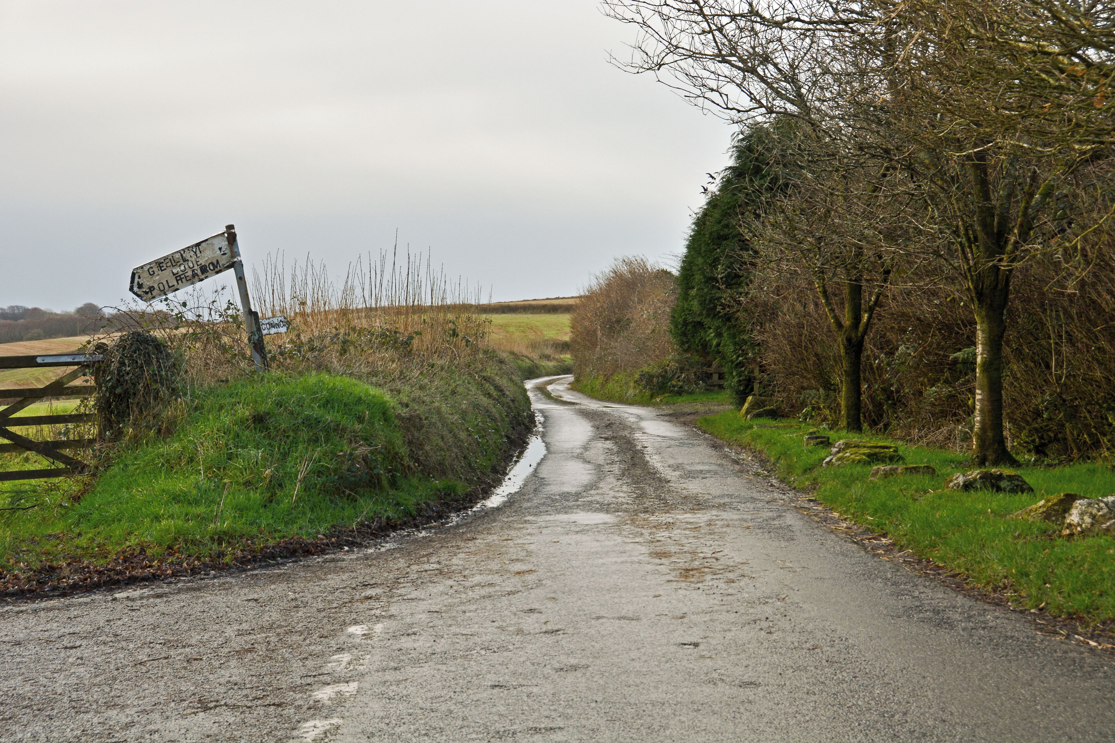 A narrow rural road with a directional signpost and a wooden fence on the left.