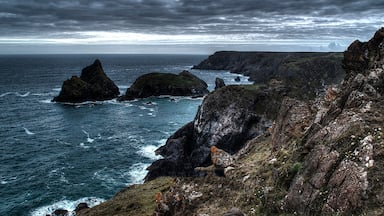 A rugged coastline with rocky cliffs and the ocean.