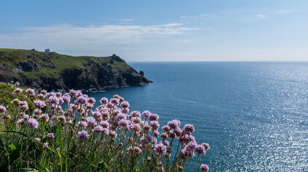View East on the SW Coast path