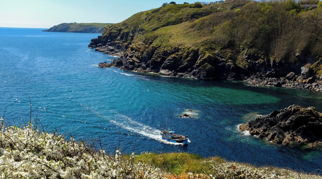 Part of the SW coast path