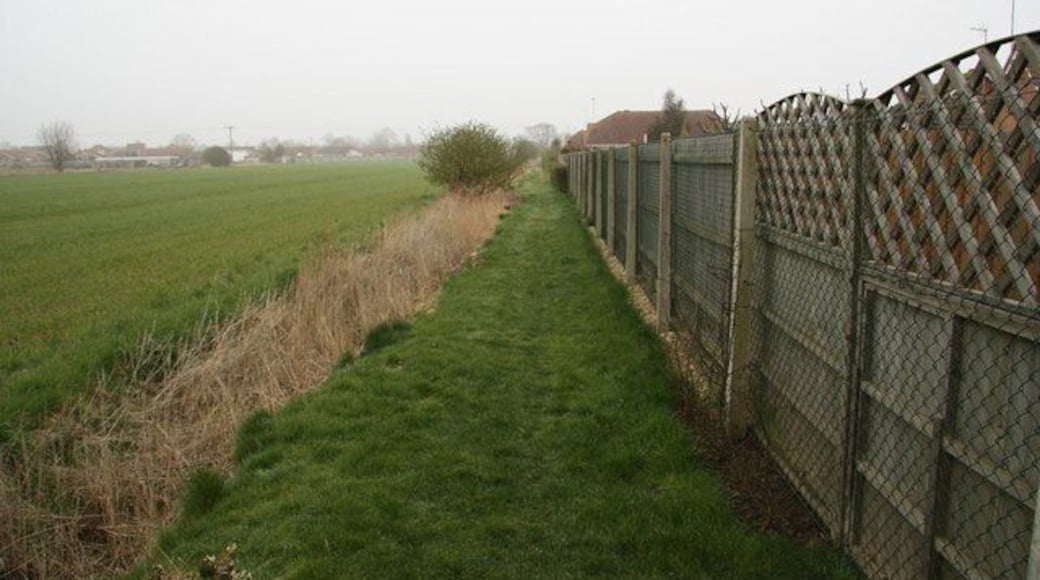 Fieldside footpath Footpath behind Midsummer Gardens at Long Sutton