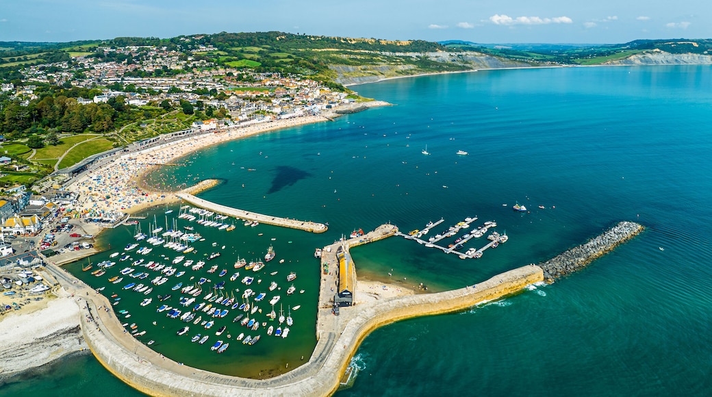 Lyme Regis from a drone, Jurassic Coast, Dorset, England, Europe