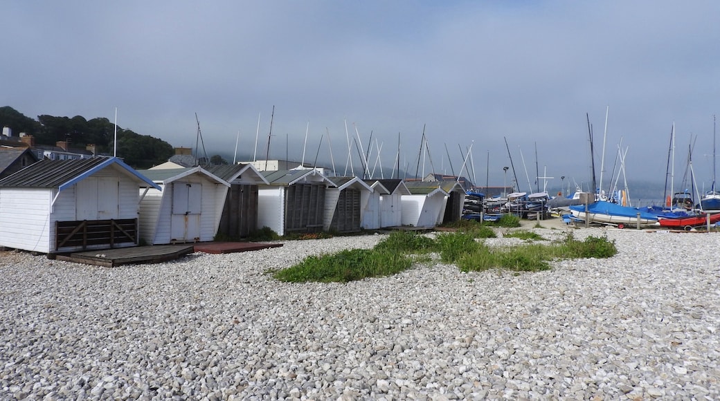 Bordering Monmouth Beach in Lyme Regis, England, are holiday chalets, beach huts, the bowling green, Lyme Regis Power Boat Club and Boat Building Academy. Here you can find a layer of limestone called the ammonite graveyard or the ammonite pavement. This layer of rock is famous for the large ammonites it contains.