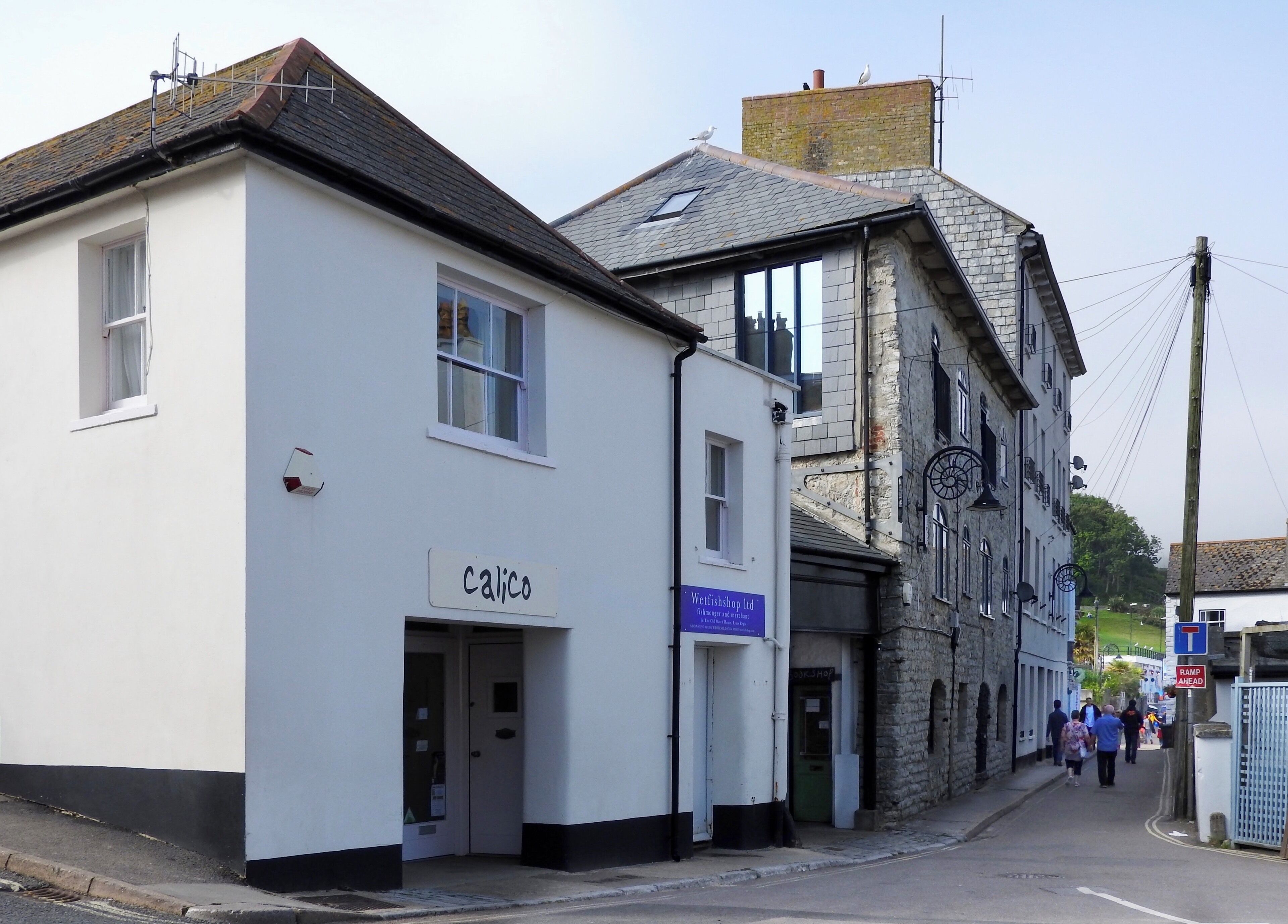 An alley in Lyme Regis, England, which is noted for fossils found in cliffs and beaches on the Heritage Coast or Jurassic Coast, a World Heritage Site. Ammonite-design streetlamps reflect the town's location on the Jurassic Coast. (June 2017)

#Trovember