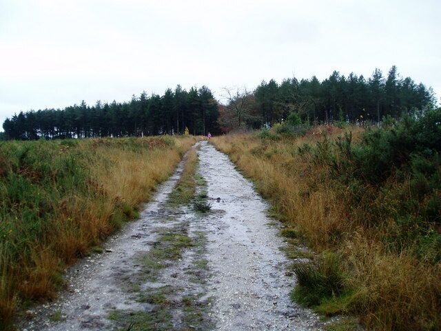 Woodhouse Hill Public Bridleway crosses Ames' Plantation.