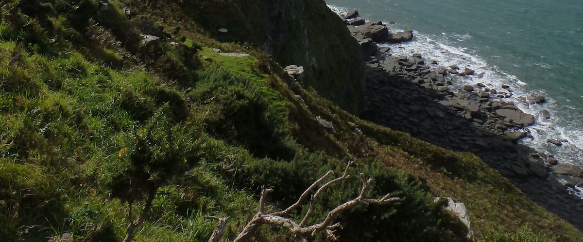 Castle Rock, Valley of the Rocks, Lynton, Devon