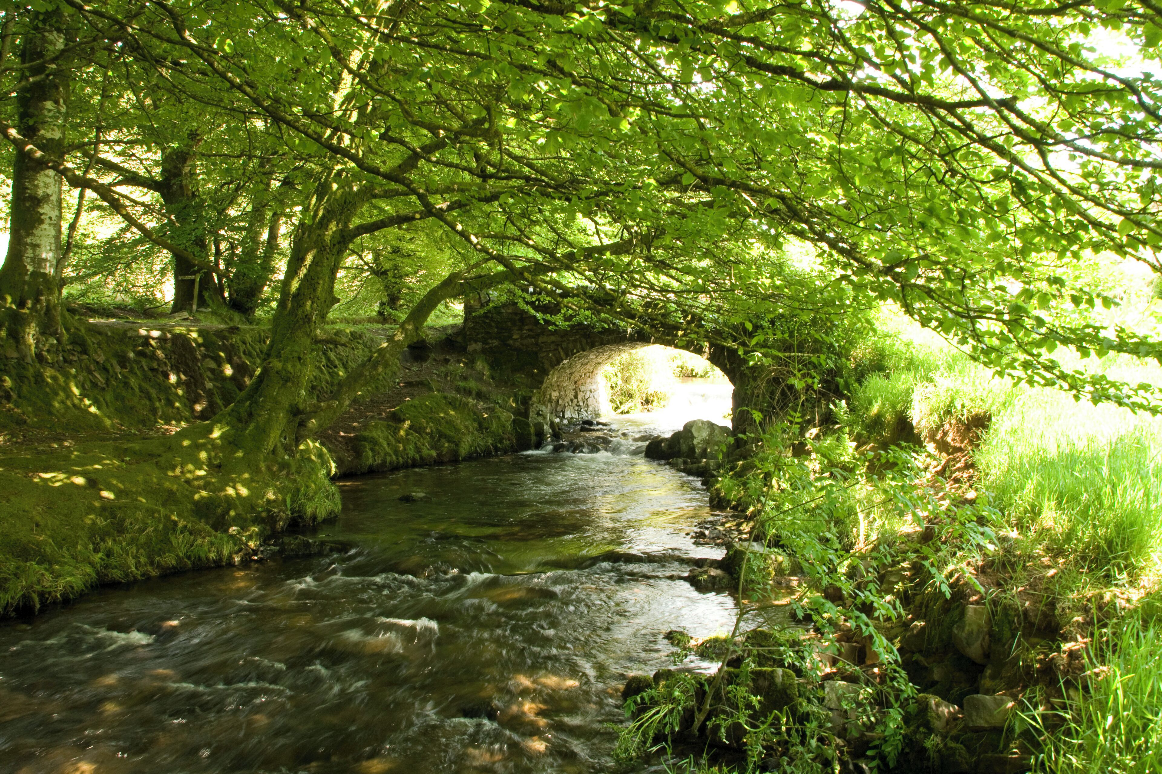 Stream and old bridge on Exmoor, Devon