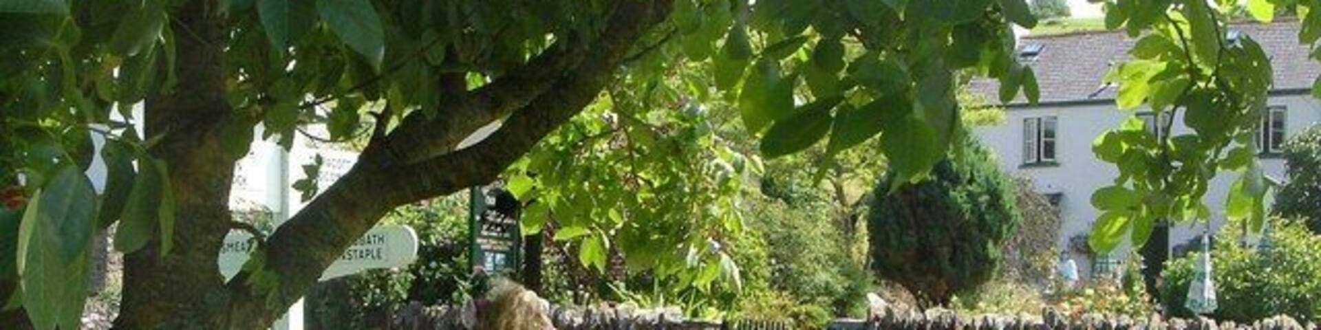 Scarecrow on Leeford Green Each summer scarecrow displays appear in this part of Devon. 2005 was the first such year. This does look a little like the scene preceding the first set of ads in "Midsomer Murders".