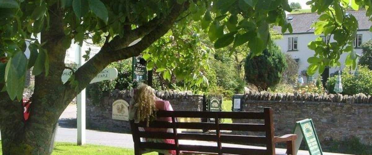 A bench under a tree in a park with a stone wall and a sign in the background.