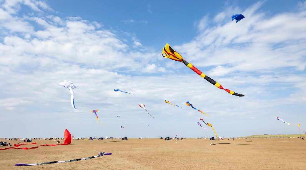 萊薩姆聖安納斯