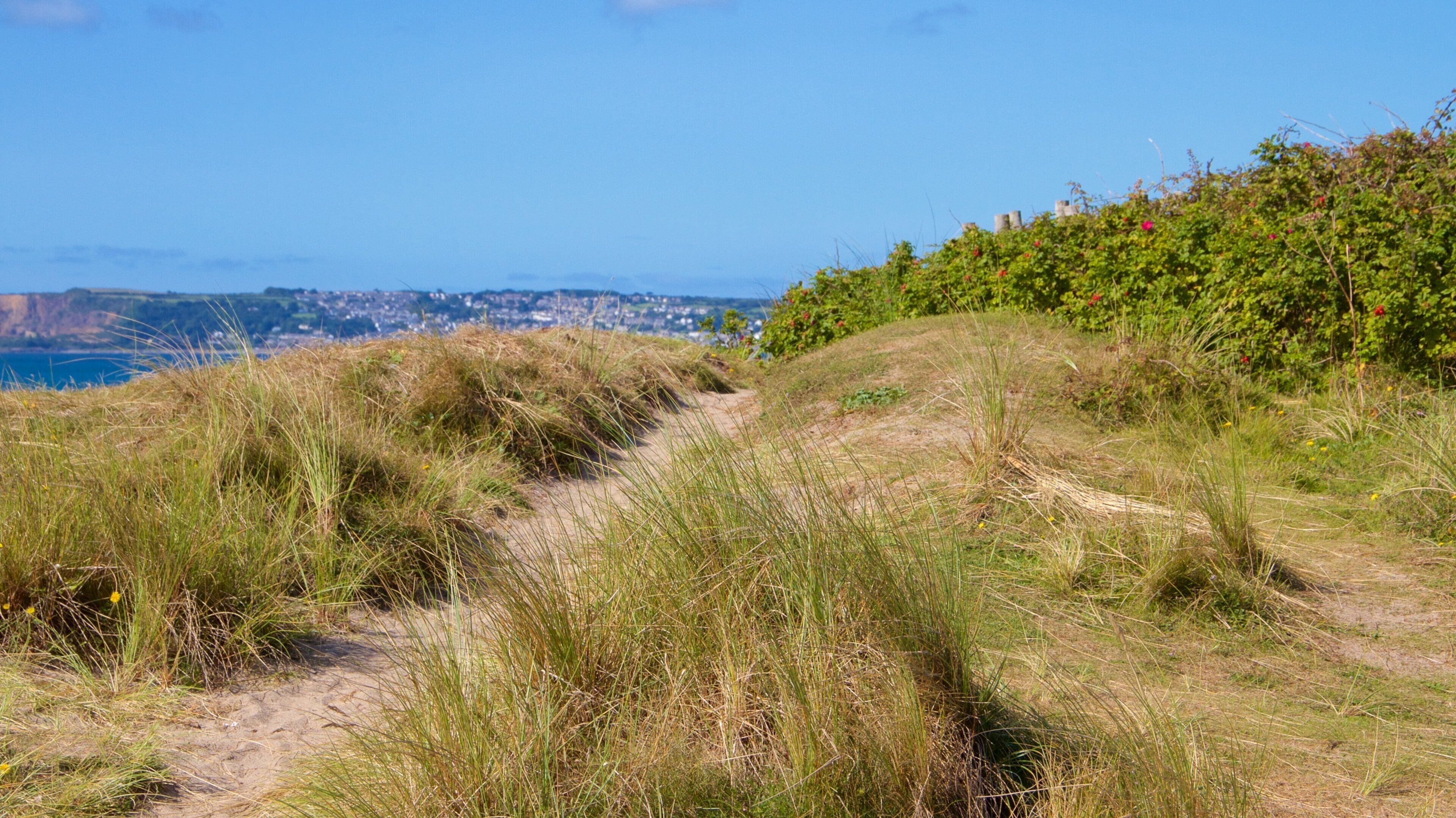 Marazion featuring tranquil scenes