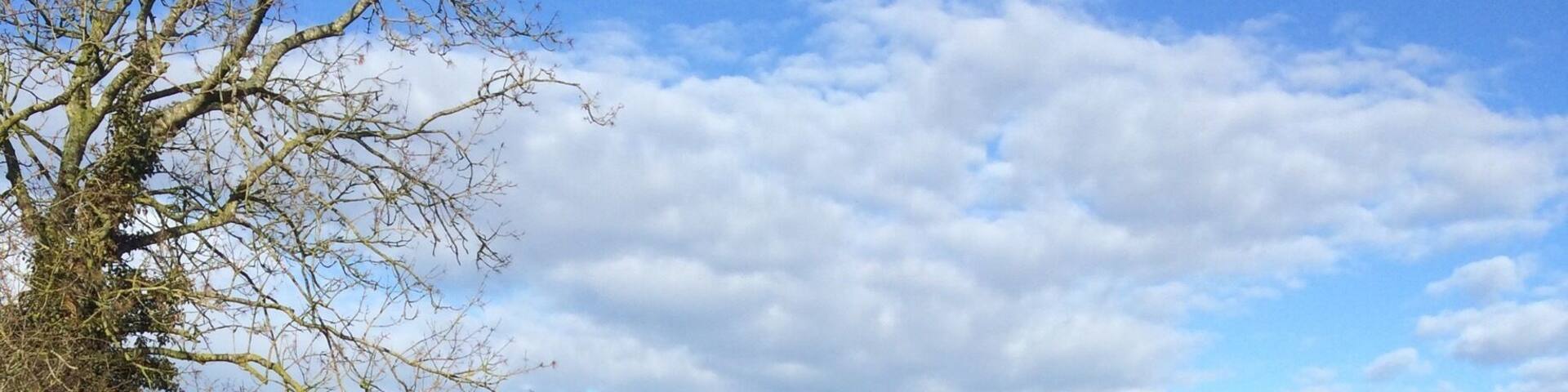A narrow boat on the Avon canal
