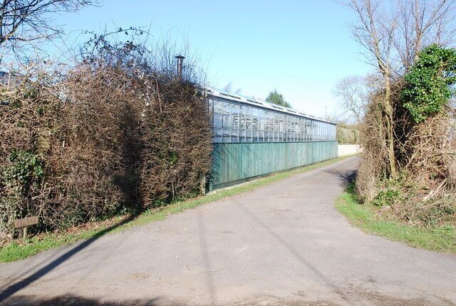 Nurseries opposite Priory Farm