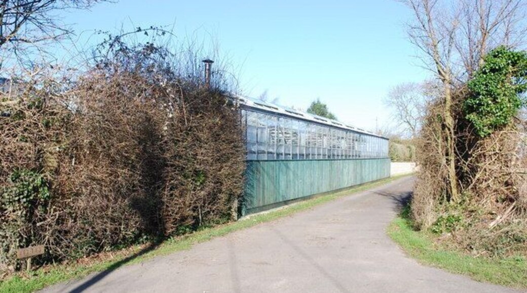 Nurseries opposite Priory Farm