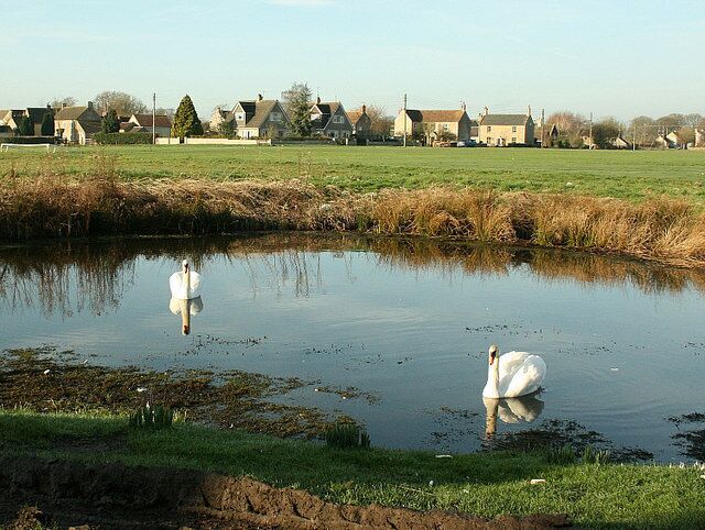 Village Pond, Broughton Gifford On the eastern side of The Common. Swans on the duckpond? Can this be an attempt by Broughton to upgrade its status?