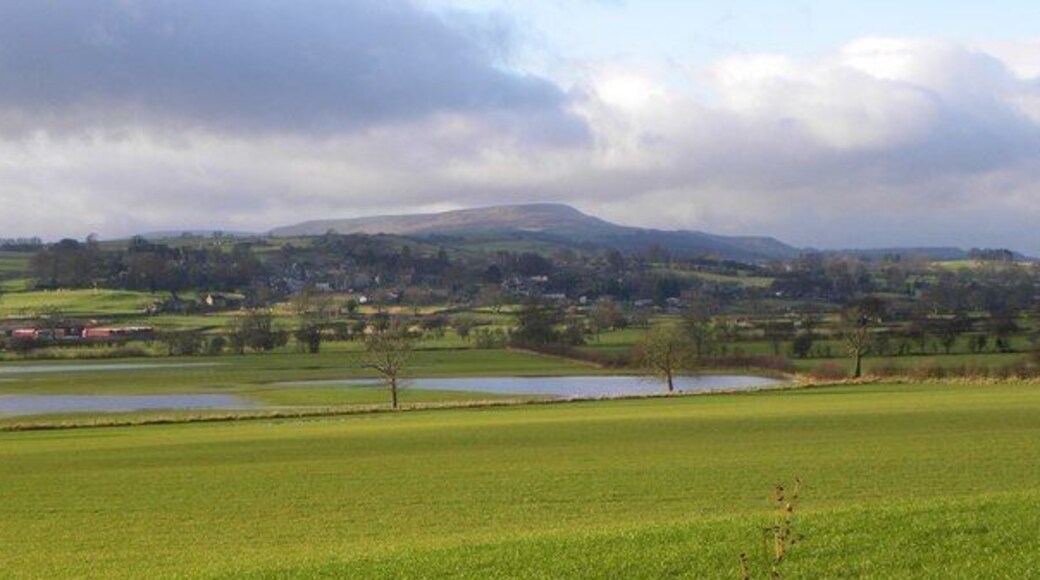 Wet and dry pastures Pasture land sloping down towards the Ure, which had recently been over its banks flooding riverside fields. In the middle distance is Middleham, with the bulk of Penhill beyond.