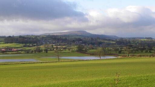 Wet and dry pastures Pasture land sloping down towards the Ure, which had recently been over its banks flooding riverside fields. In the middle distance is Middleham, with the bulk of Penhill beyond.