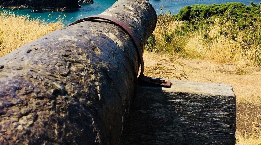 This real beauty of a cannon , still sits proud Guarding our shores over the Cornish seas.