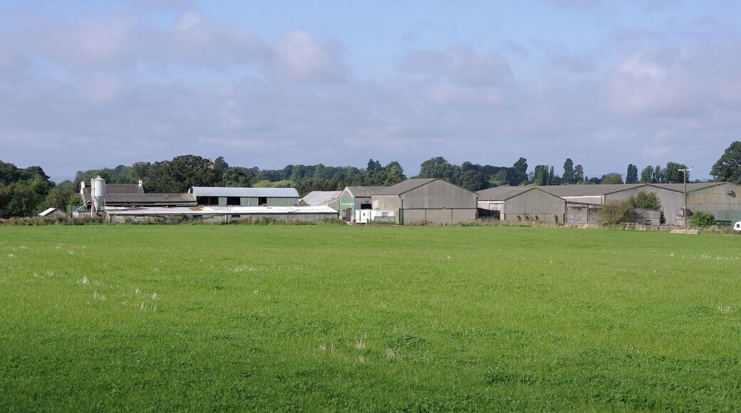 A farm in South Otterington, Yorkshire.