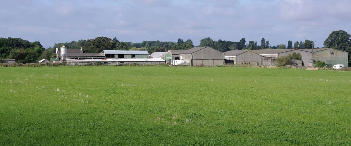 A rural landscape with green fields, several farm buildings, and trees in the background.