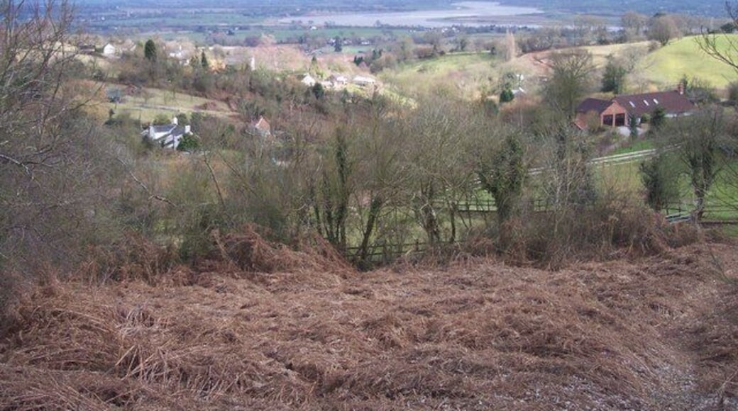 Pope's Hill. A cluster of small enclosures scattered over a wide area of this square. Looking east, from the top north-south road, to the River Severn in the distance.