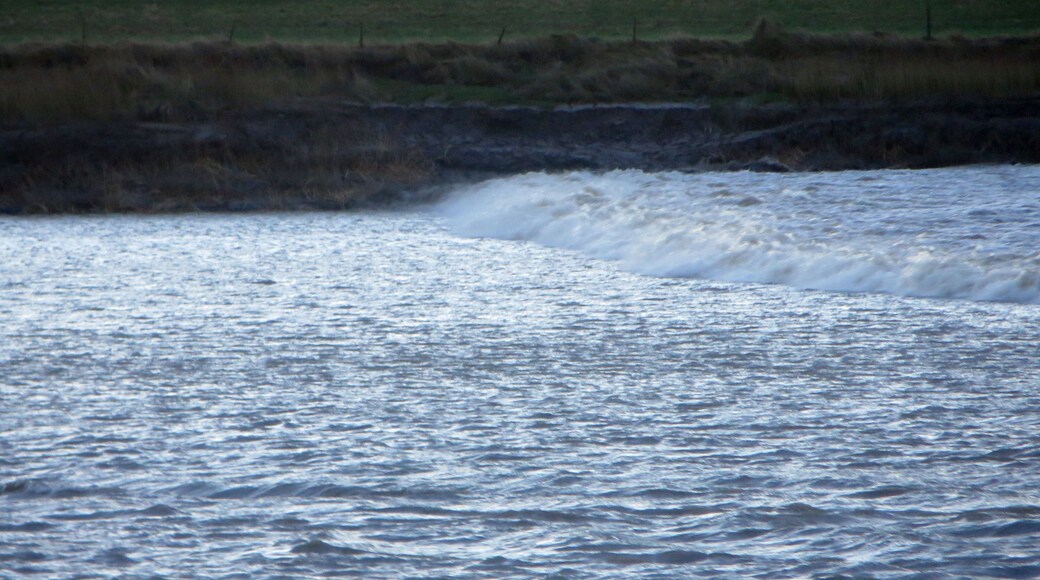 The bore against the far bank - Newnham - 1st Feb 2014