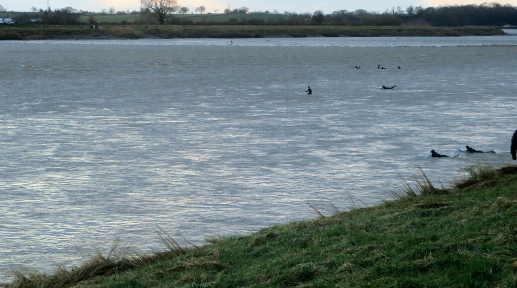 Severn Bore at Newnham - 1st Feb 2014