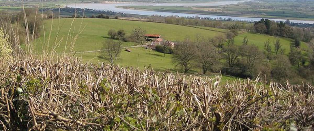 A river, green fields, and a distant building.