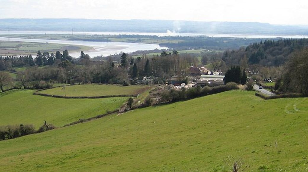 Grange Village from Dean Hill The road heads down to Newnham-on-Severn. The Severn makes it way round the great horseshoe bend and on to Bristol. Sand/mudbanks are exposed so it must be low tide.