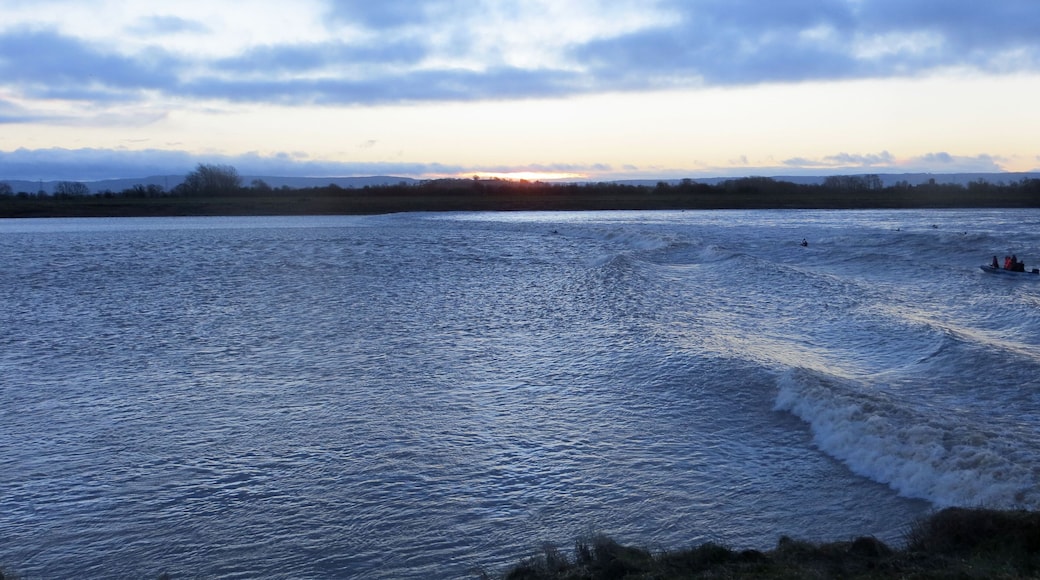 Severn Bore at Newnham just before 8am 1st Feb 2014