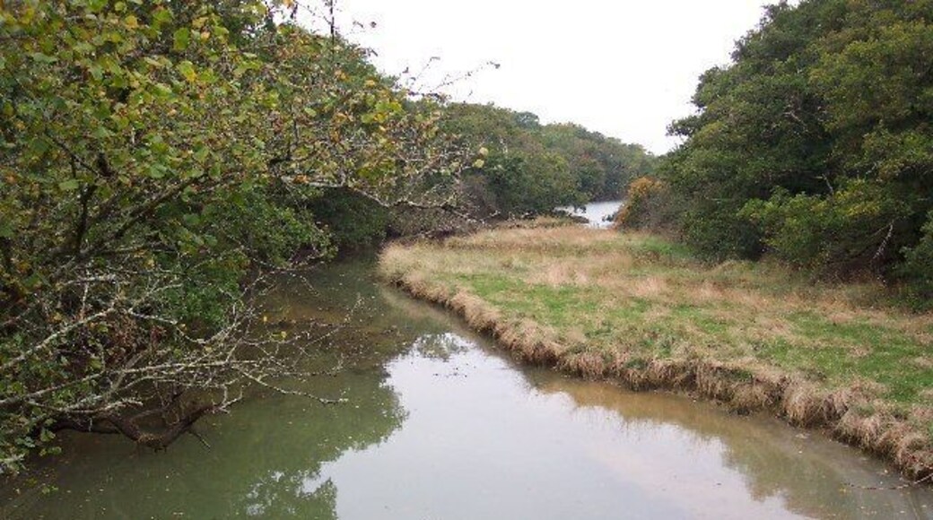 Clamerkin Lake. Clamerkin Lake, looking north from the bridge near Locksgreen, its tidal limit.