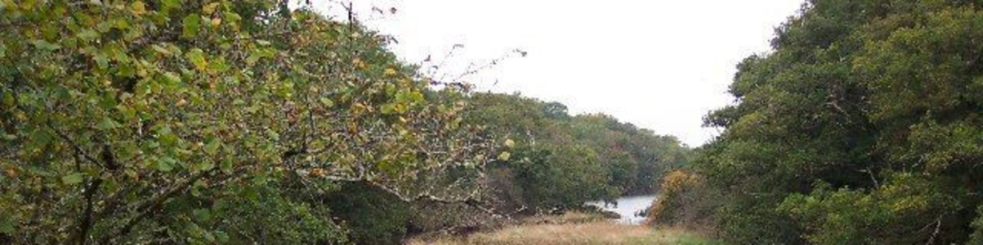Clamerkin Lake. Clamerkin Lake, looking north from the bridge near Locksgreen, its tidal limit.