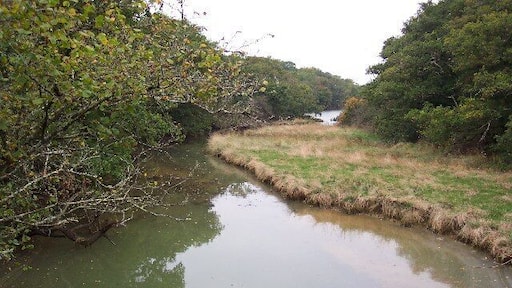 Clamerkin Lake. Clamerkin Lake, looking north from the bridge near Locksgreen, its tidal limit.