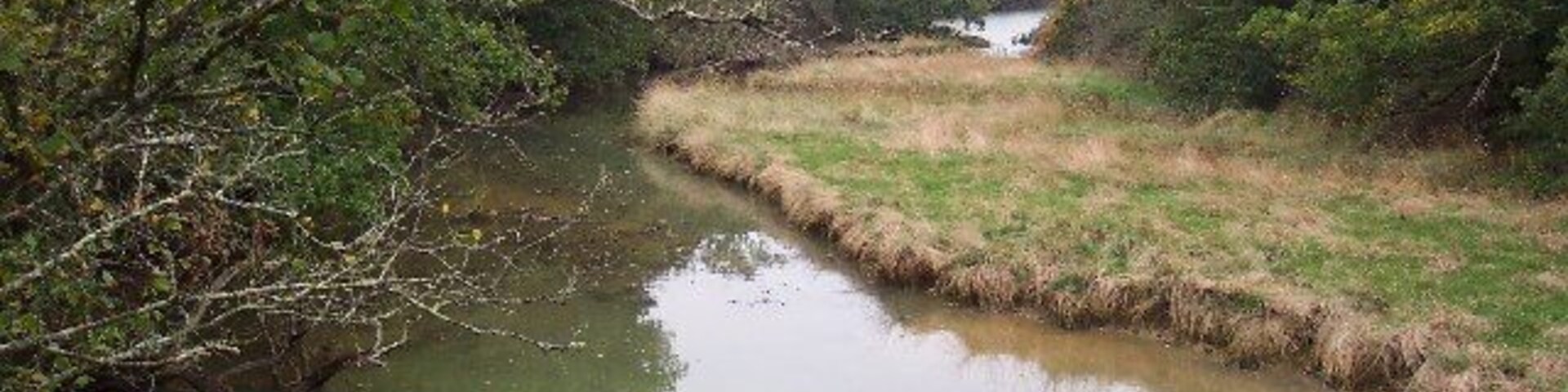 Clamerkin Lake. Clamerkin Lake, looking north from the bridge near Locksgreen, its tidal limit.