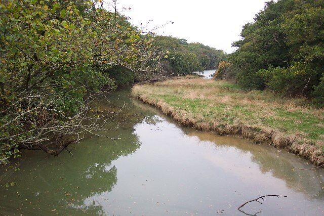 A narrow waterway flanked by dense foliage and grassy banks.