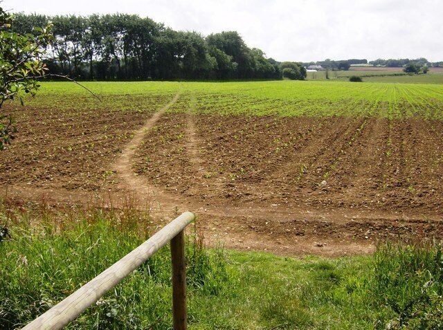 Footpath towards Pagham Just one of the network of footpaths, bridleways and cycle tracks in this square. The bridge leads from the Sandown to Newport cycle track onto a footpath across arable land. People seem to have had two goes at defining a line. The small woodland is not shown on the map.