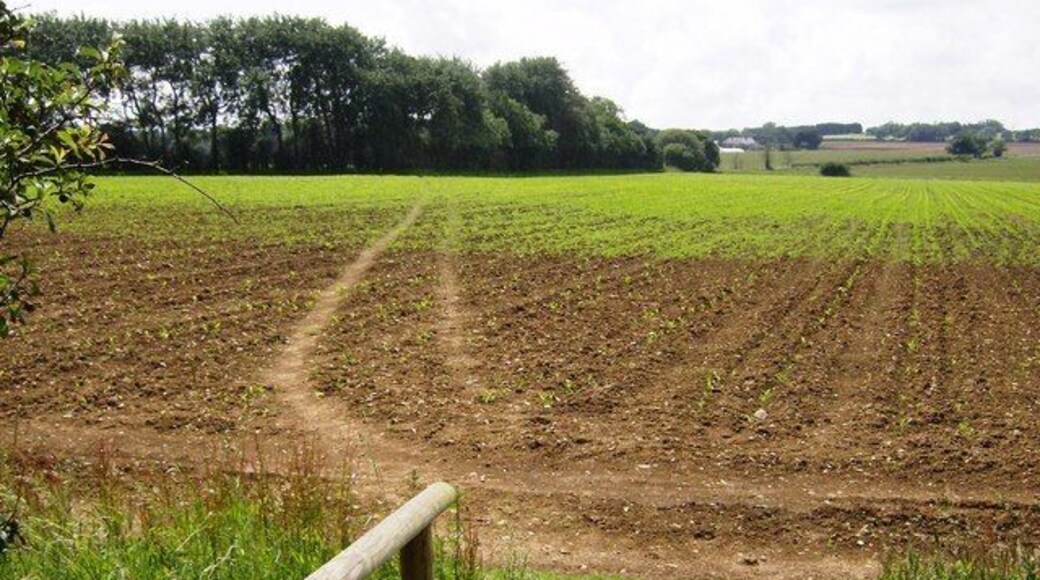 Footpath towards Pagham Just one of the network of footpaths, bridleways and cycle tracks in this square. The bridge leads from the Sandown to Newport cycle track onto a footpath across arable land. People seem to have had two goes at defining a line. The small woodland is not shown on the map.