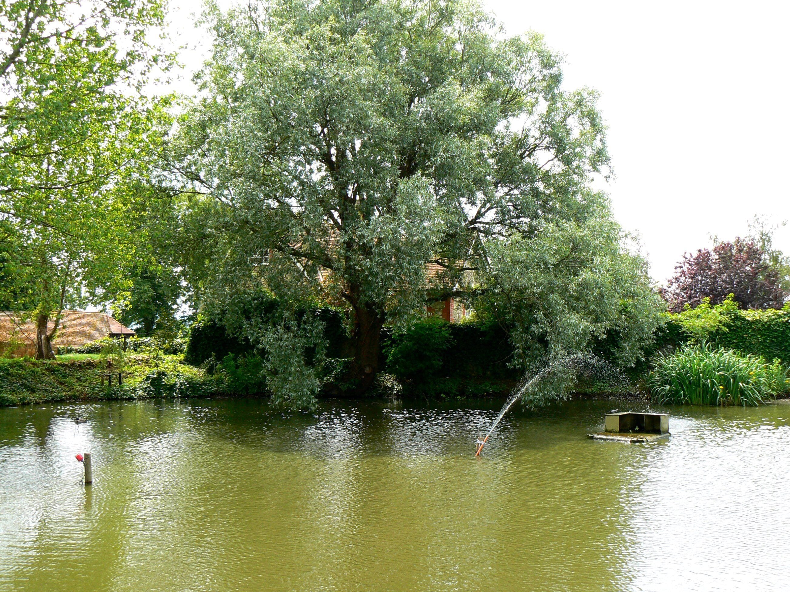 taken in Arreton Village on the isle of Wight. UK.