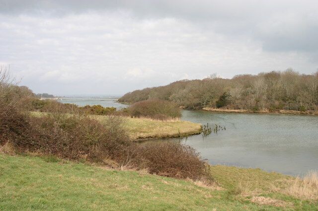 Shalfleet Creek Looking across the creek from the road down to Shalfleet harbour