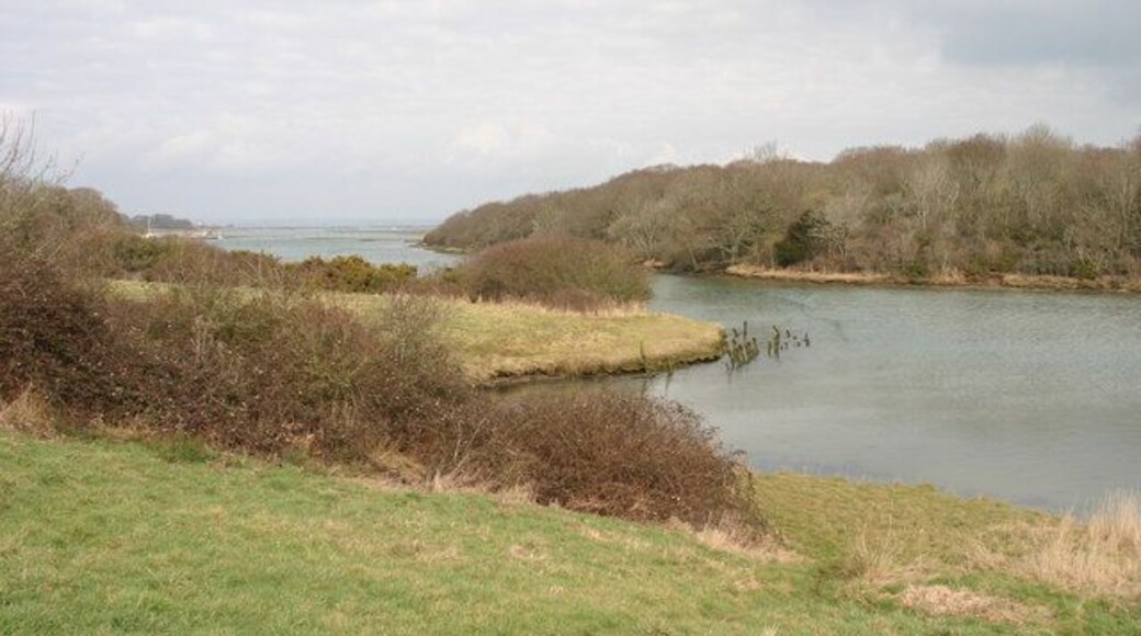 Shalfleet Creek Looking across the creek from the road down to Shalfleet harbour