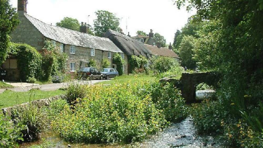 Ein ländlicher Bach mit einer Steinbrücke, umgeben von üppiger Vegetation und traditionellen Steinhäusern.