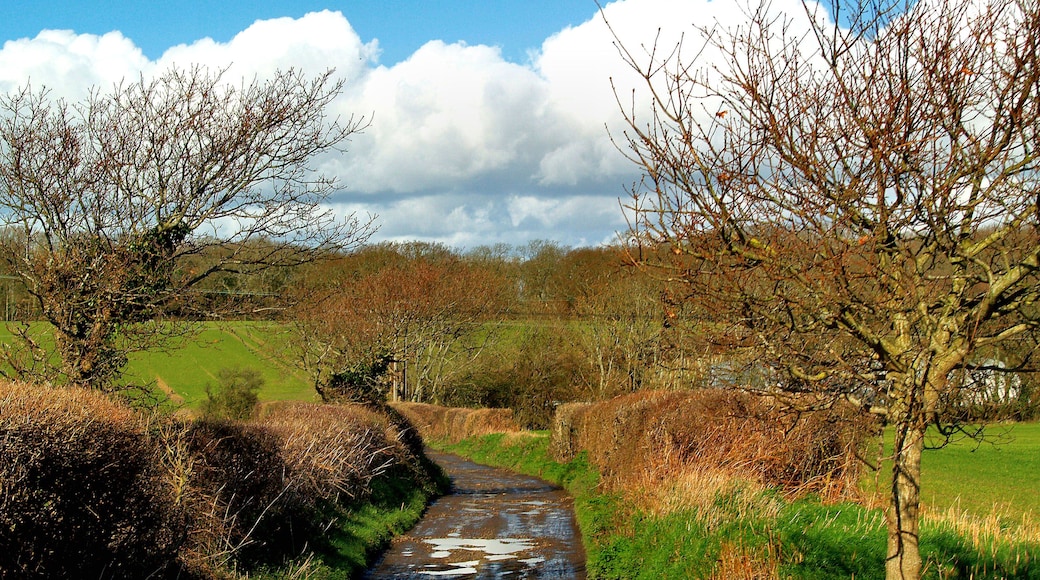 Track to old Watchwell Station, in Calbourne, Isle of Wight.